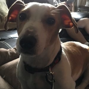 Meet your Posher, Louise